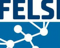 FELSI